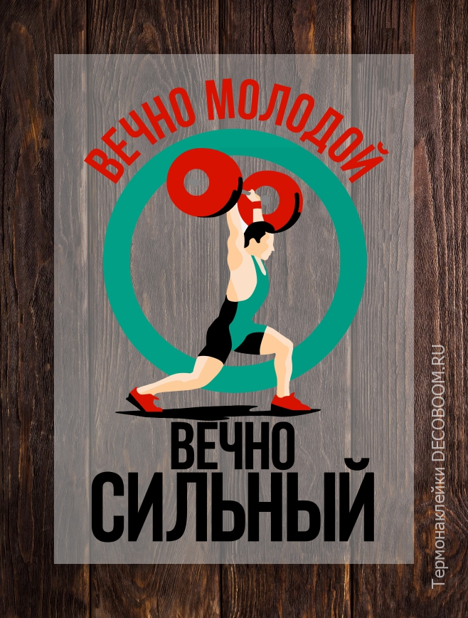 ТермонаклейкаDTF-048 Термонаклейки на одежду